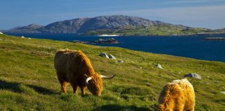 Things to do in the Outer Hebrides