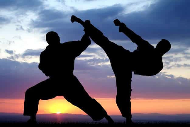 Martial Arts as fitness