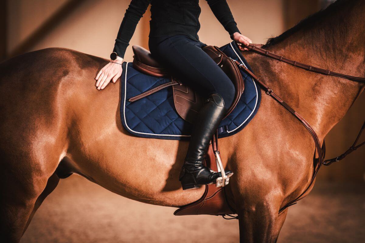 Stylish Equestrian Rider