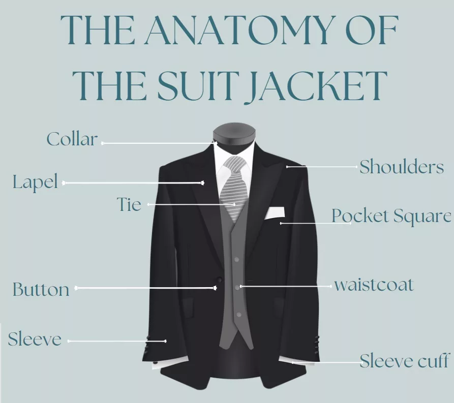 the anatomy of the suit jacket